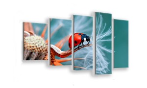 OBRAZ NA SZKLE 5-CZĘŚCIOWY - TYP F - Biedronka
