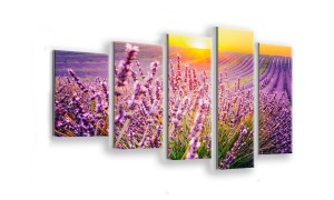 OBRAZ NA SZKLE 5-CZĘŚCIOWY - TYP F - Lawenda