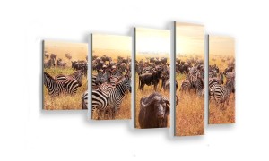 OBRAZ NA SZKLE 5-CZĘŚCIOWY - TYP F - Sawanna
