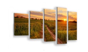 OBRAZ NA SZKLE 5-CZĘŚCIOWY - TYP F - Ścieżka na polach