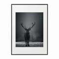 czarna rama 50x70cm i 70x100cm z passe-partout