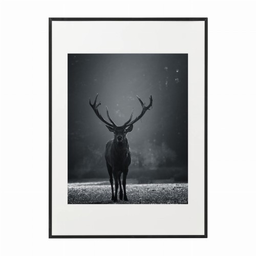 czarna rama 50x70cm i 70x100cm z passe-partout