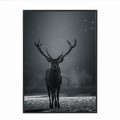 czarna rama 50x70cm i 70x100cm bez passe-partout