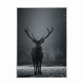 biała rama 50x70cm i 70x100cm bez passe-partout