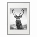 czarna rama 50x70cm i 70x100cm z passe-partout
