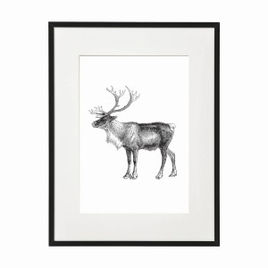 PLAKAT W RAMIE MAŁY - Renifer grafika