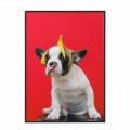 czarna rama 50x70cm i 70x100cm bez passe-partout