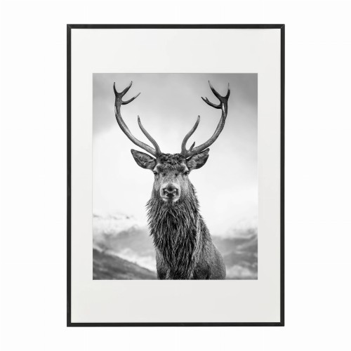 czarna rama 50x70cm i 70x100cm z passe-partout
