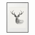 czarna rama 50x70cm i 70x100cm z passe-partout