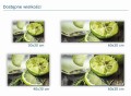 26 limonki wielkości mockup.jpg