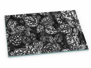 Szklana deska kuchenna do krojenia na prezent 30x20 cm Mono liście 029a