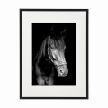 czarna rama 30x40cm i 40x50cm z passe-partout