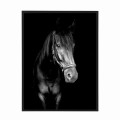 czarna rama 30x40cm i 40x50cm bez passe-partout