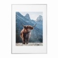 biała rama 50x70cm i 70x100cm z passe-partout