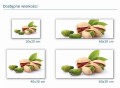 104 pistacje wielkości mockup.jpg