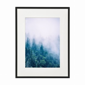 PLAKAT W RAMIE MAŁY - Las we mgle