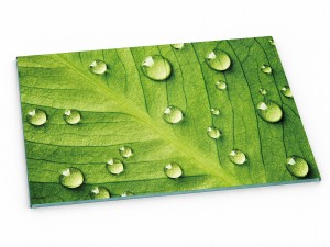 Szklana deska kuchenna do krojenia na prezent 60x30 cm Liść 143d