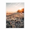 biała rama 50x70cm i 70x100cm bez passe-partout