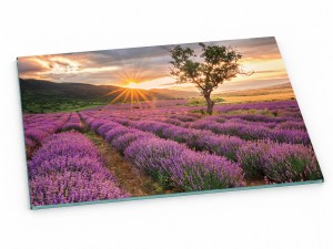 Szklana deska kuchenna do krojenia na prezent 60x20 cm Lawendowe pole 169c