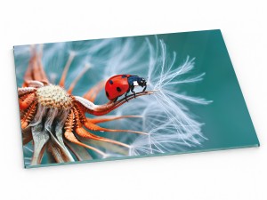 Szklana deska kuchenna do krojenia na prezent 60x20 cm Biedronka 238c
