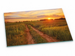 Szklana deska kuchenna do krojenia na prezent 60x30 cm Polna droga 308d