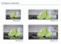 316 limonki na lodzie rozmiary.jpg