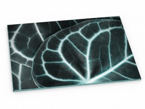Szklana deska kuchenna do krojenia na prezent 30x20 cm Ciemne liście 353a