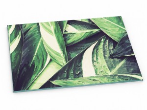 Szklana deska kuchenna do krojenia na prezent 40x30 cm Dżungla 360b