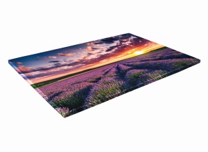 SZKLANA DESKA KUCHENNA 40x30 372b Lawenda
