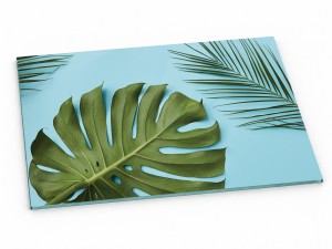 Szklana deska kuchenna do krojenia na prezent 30x20 cm Liście 374a