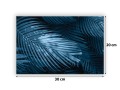 02_382a.jpg