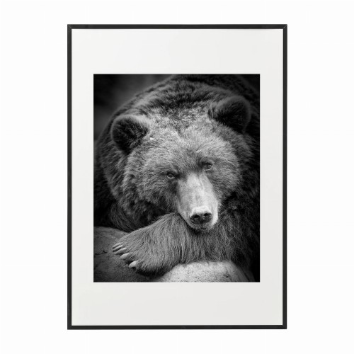 czarna rama 50x70cm i 70x100cm z passe-partout