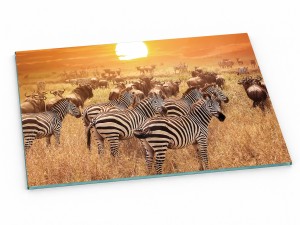 Szklana deska kuchenna do krojenia na prezent 60x30 cm Safari 396d