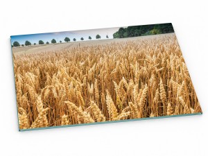 Szklana deska kuchenna do krojenia na prezent 30x20 cm Zboże 410a