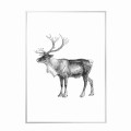 biała rama 50x70cm i 70x100cm bez passe-partout