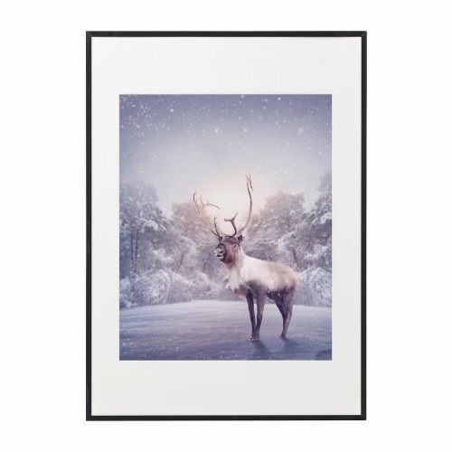 czarna rama 50x70cm i 70x100cm z passe-partout