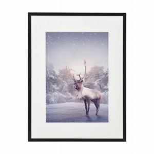 PLAKAT W RAMIE MAŁY - Renifer