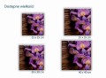 432 fioletowa orchidea rozmiary.jpg