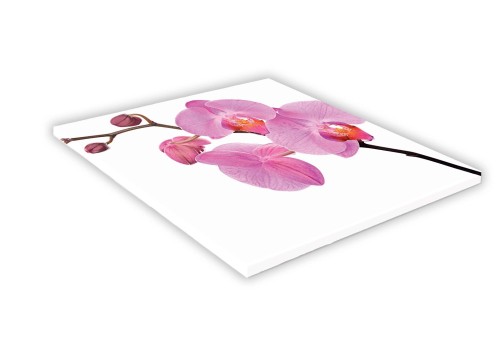 434 różowa orchidea mockup.jpg