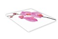 434 różowa orchidea mockup.jpg