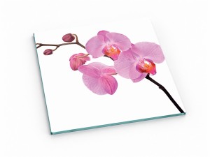 Szklana deska kuchenna do krojenia na prezent 40x40 cm Różowa orchidea 434h