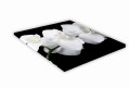 438 Biała orchidea mockup.jpg