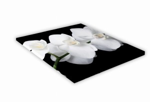 SZKLANA DESKA KUCHENNA 35x35 438g Biała orchidea