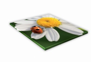 SZKLANA DESKA KUCHENNA 25x25 444e Biedronka