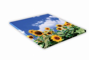 SZKLANA DESKA KUCHENNA 30x30 445f Słoneczniki