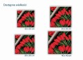 446 Czerwone tulipany rozmiary.jpg