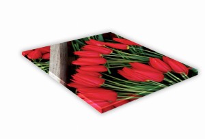 SZKLANA DESKA KUCHENNA 25x25 446e Tulipany