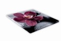 451 Bordowa orchidea.jpg