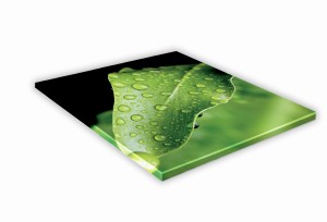 SZKLANA DESKA KUCHENNA 25x25 452e Krople na liściu 