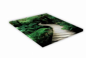 SZKLANA DESKA KUCHENNA 40x40 454h Dżungla